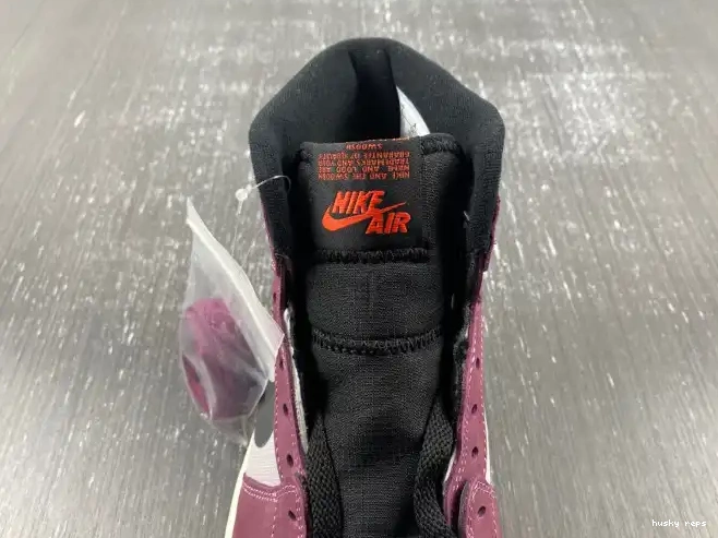 Rep Husky Element 1 Gore-Tex Jordan DB2889-500 Air 0517